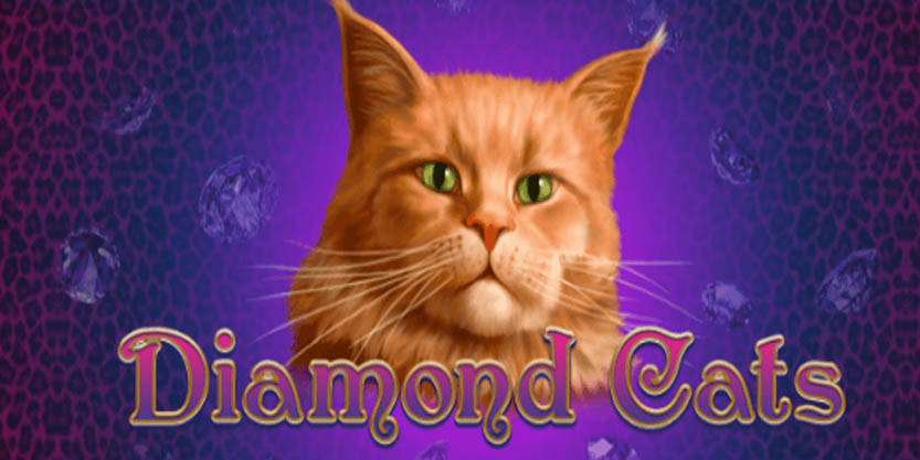 Игровой автомат Diamond Cats с яркими картинками и крупным выигрышем